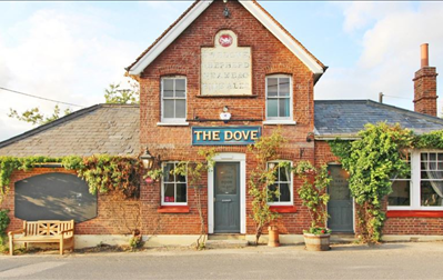 The Dove Dargate